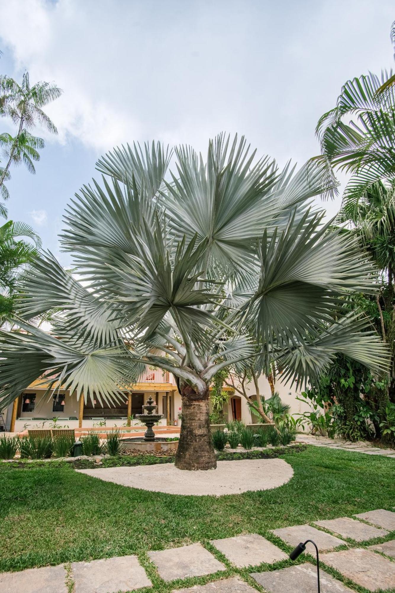 Pousada Pazuu Ubatuba Exterior photo